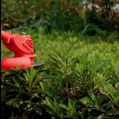 MAXCUT™ DESBROZADORA ELECTRICA 3 EN 1 - Más ligera que nunca 